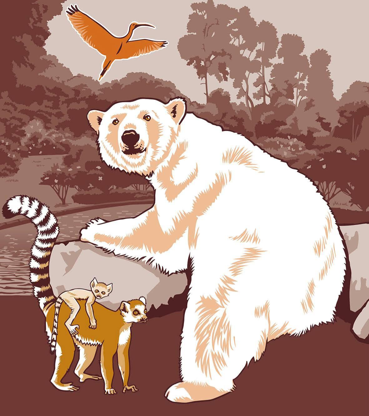 Photo du panneau : Mulhouse